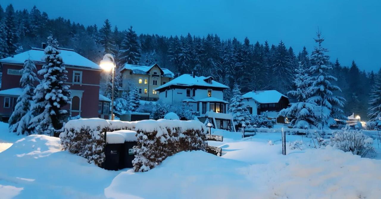 Апартаменти Haus Stefanie Elvire Altenberg Екстер'єр фото