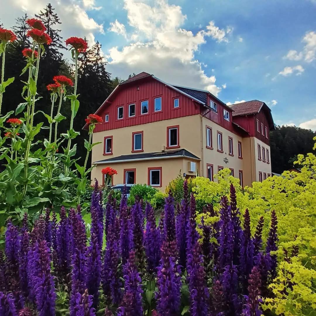Апартаменти Haus Stefanie Elvire Altenberg Екстер'єр фото